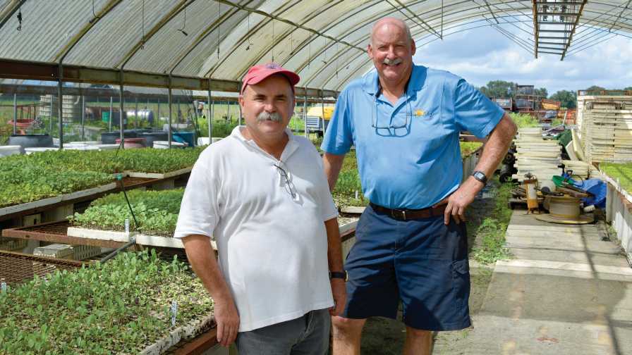 Keith Fuller and Danny Johns discuss greenhouse veggies
