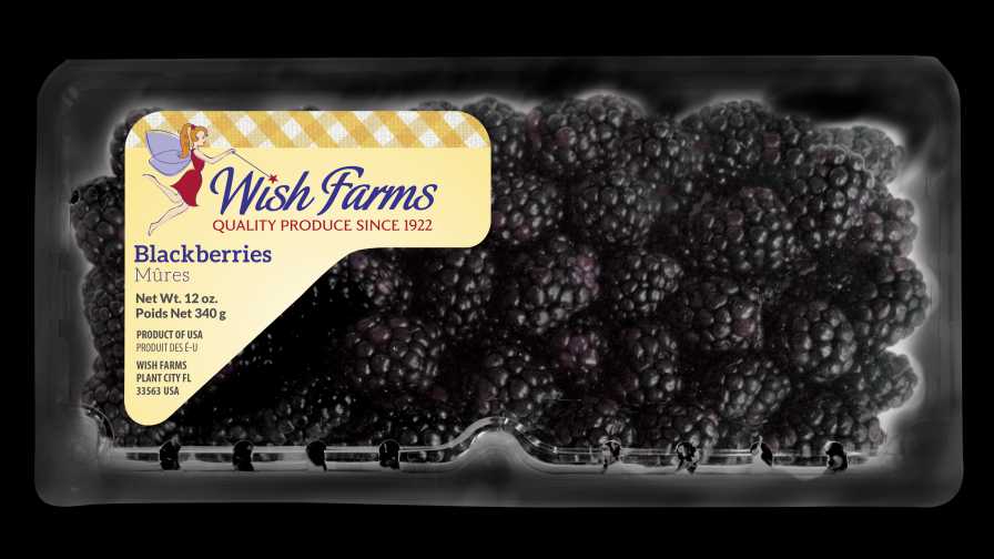 A product shot of Wish Farms' elongated blackberry clamshell