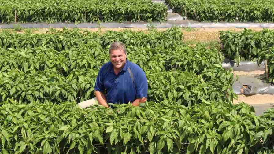 Jason Kuehnle of Michigan-based Golden Plain Farms found his niche growing peppers. Photo credit: Christina Herrick