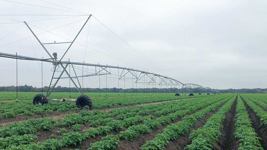 Low volume irrigation