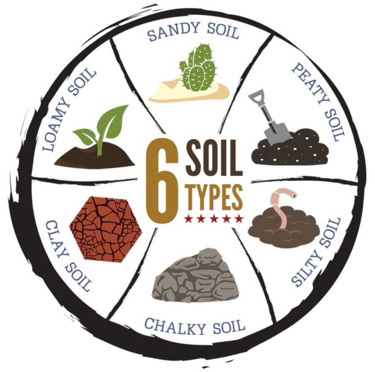 How Soil Type Affects Land Values - Growing Produce