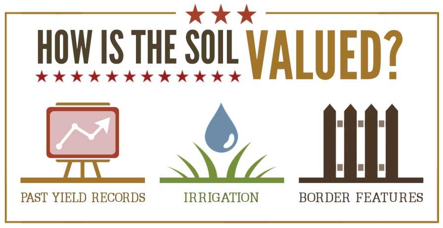 Soil value infographic