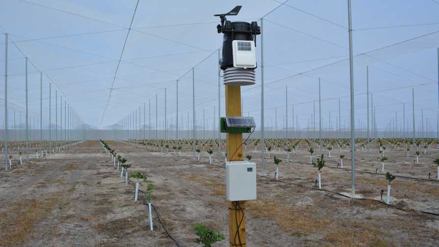 Weather station in citrus under protective screening