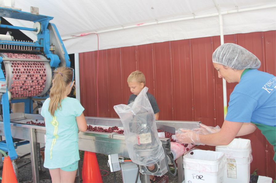 Juliette King, right, assists some young helpers process sweet cherries that pass through the orchard’s pitter. (Photo credit: Christina Herrick)