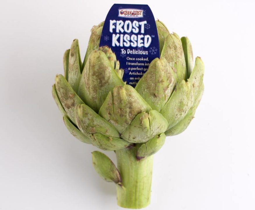 Ocean Mist Farms Gears Up for Flavorful Artichokes Growing Produce