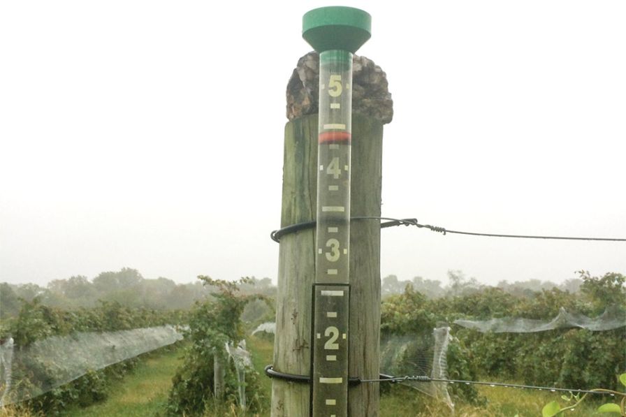 A full rain gauge is pictured at Zephaniah Farm Vineyard in Leesburg, VA. (Photo Credit: Tremain Hatch)