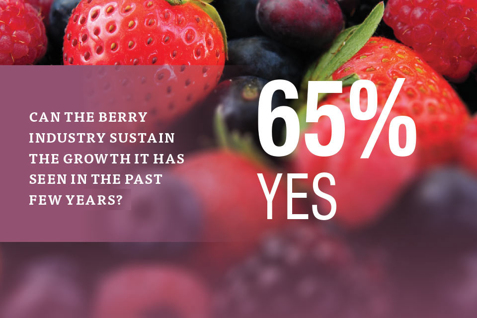 berry-industry-sustain-growth-2017-state-of-the-industry2