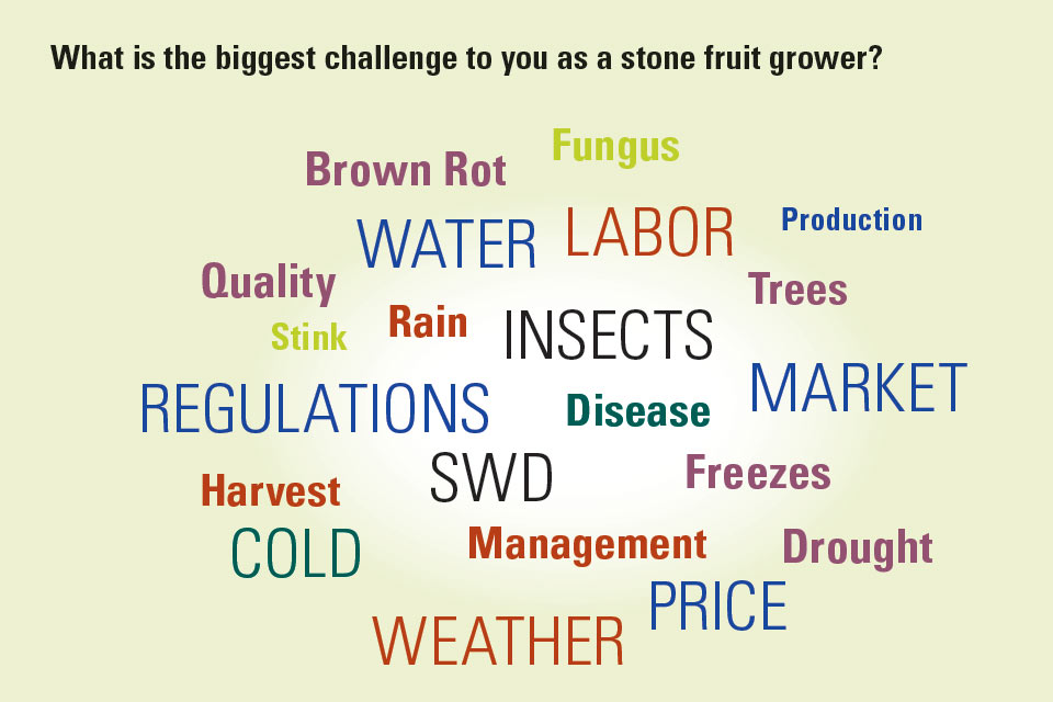 1/17 SOI Stone Fruit Challenges