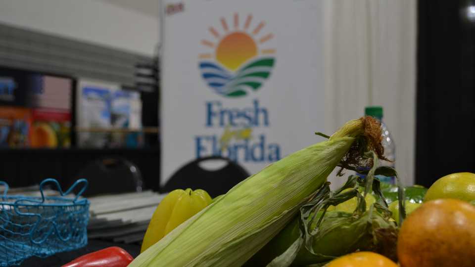Fresh From Florida booth at 2017 Florida Citrus Show