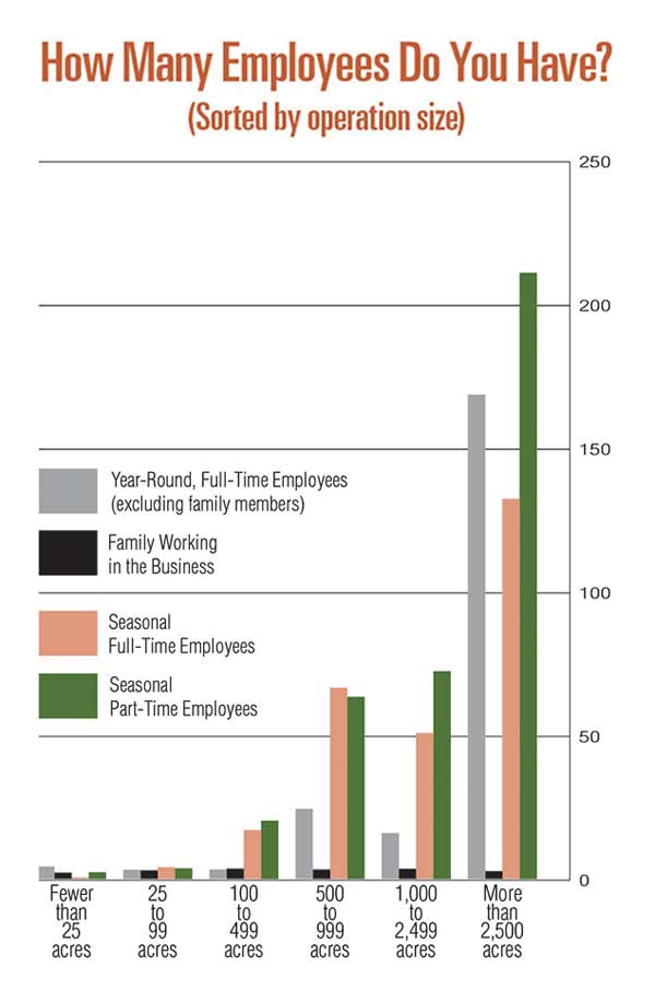 how-many-employess