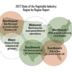 The West Had the Highest Increase in U.S. Vegetable Production in 2016