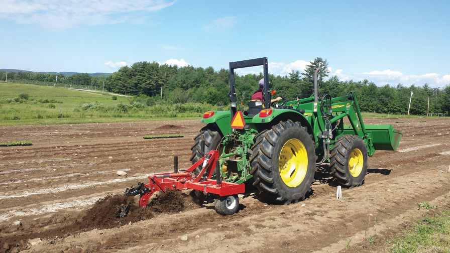 Permanent beds are being used by many small- to mid-size mixed vegetable growers to improve soil quality. In these systems, the types and level of tillage intensity varies greatly. Photo credit: Mark Hutton