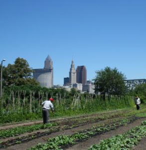 urban-farm-visits-2012-labor