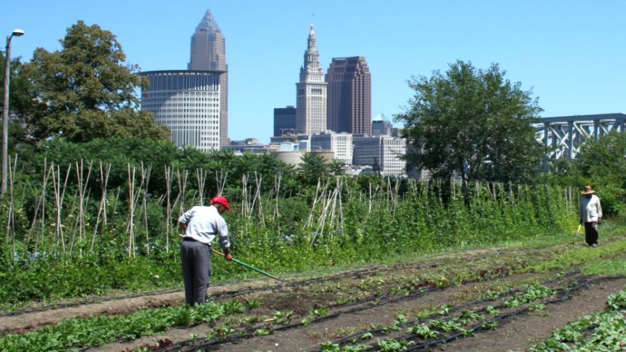 Farm Labor Stories Making the News This Week