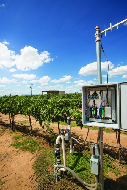 Is the Intelligent Vineyard the Future of Winegrape Growing?