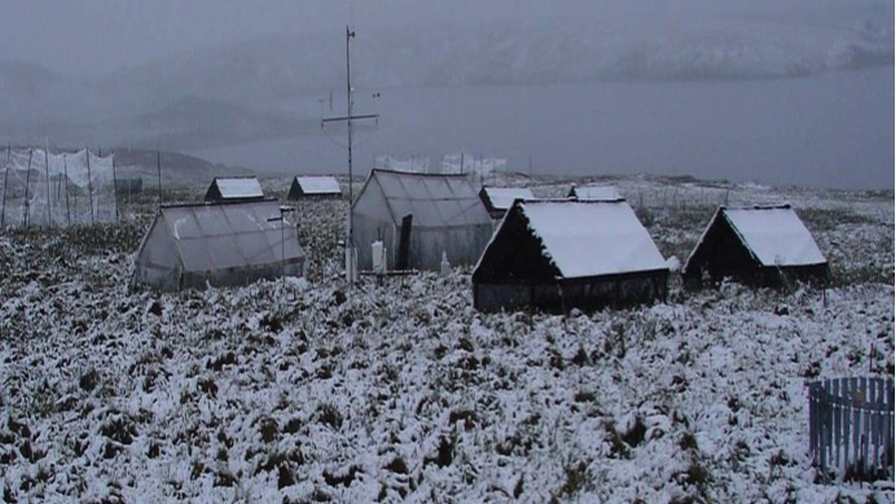 Researchers measured carbon flux from soil at Toolik Field Station in Arctic Alaska. Photo credit: Jim Tang