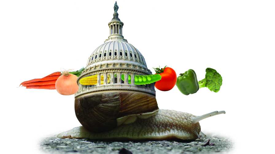 Food Safety Modernization Act moving at snail's pace