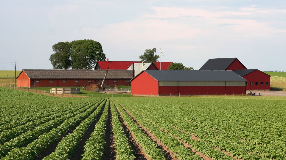 Farms Get Bigger Even as the Number of Farms Decline