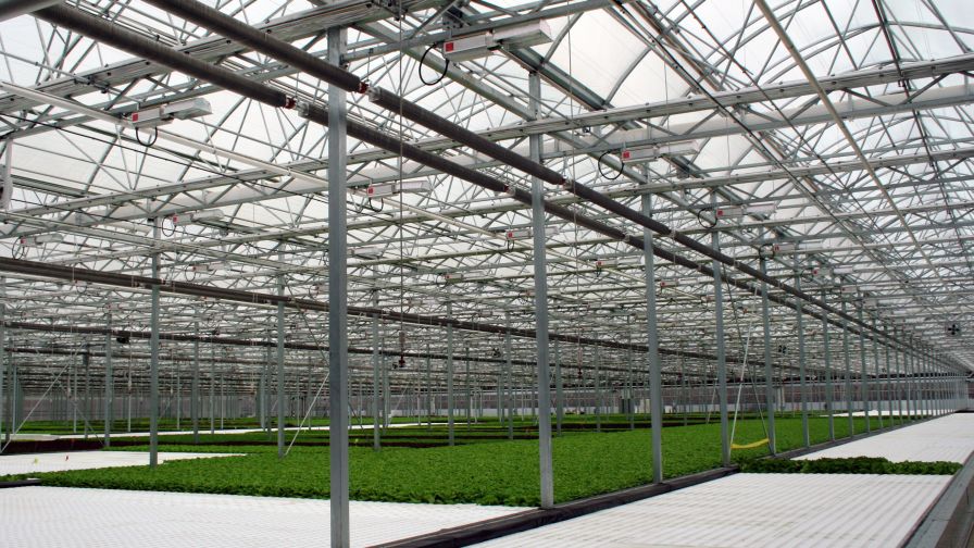 Is Your Greenhouse Operation Ripe for Disruption?