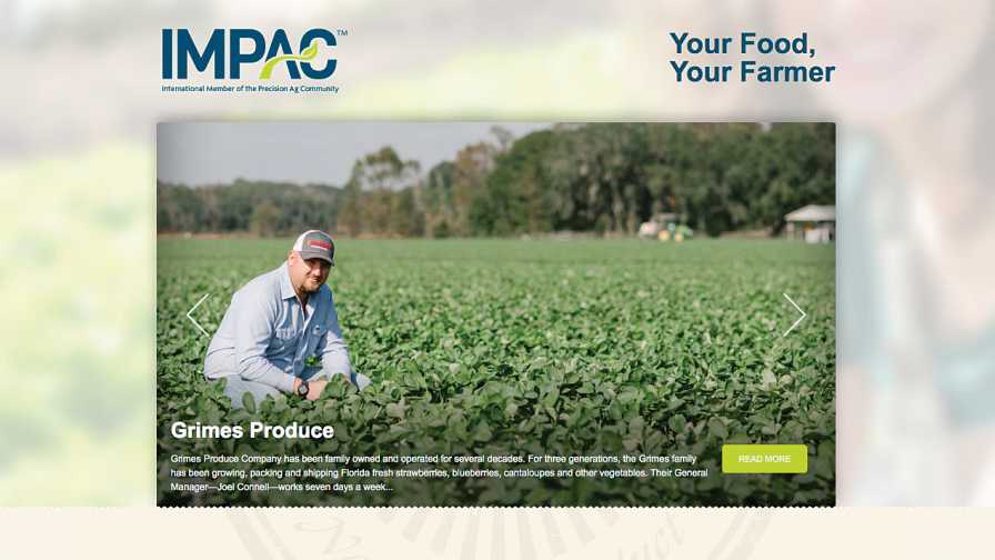 IMPAC.org screenshot