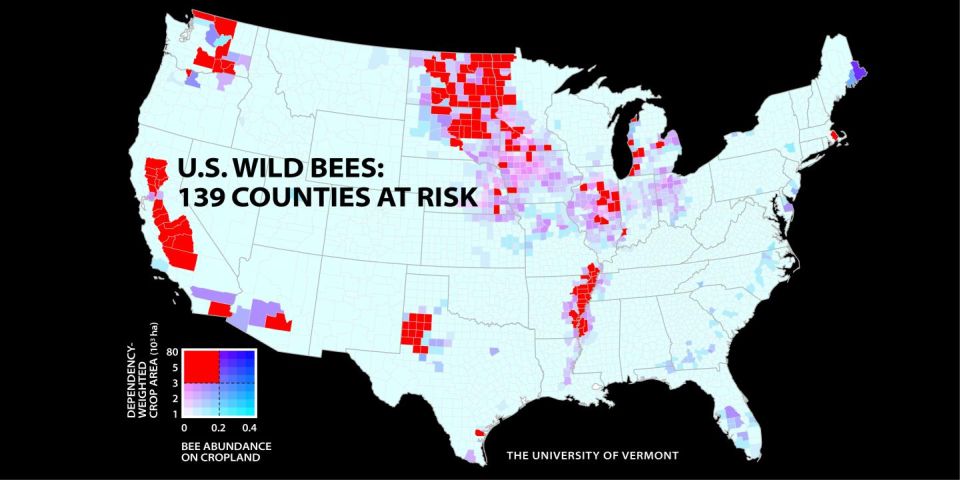 Wild Bee Populations Are out of Sync with Crop Needs