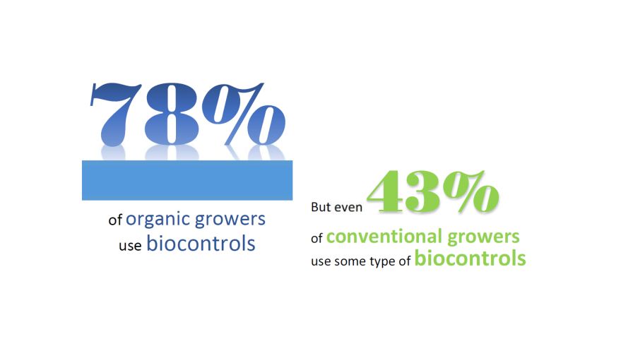 5 Graphics that Show How Biocontrols are Used by Vegetable Growers