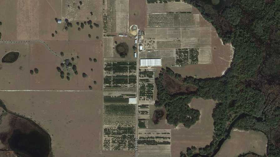 A.H. Whitmore Farm in Leesburg, FL, as seen from Google Earth