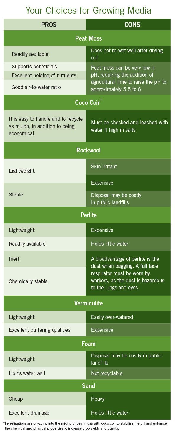 Weighing the Good and Bad of Six Soilless Media Options