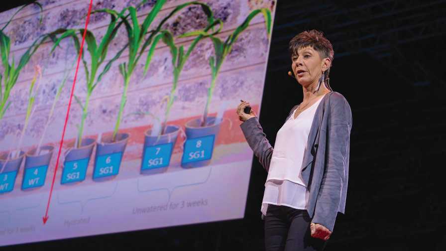 Jill Farrant giving a TED Talk on ag innovation