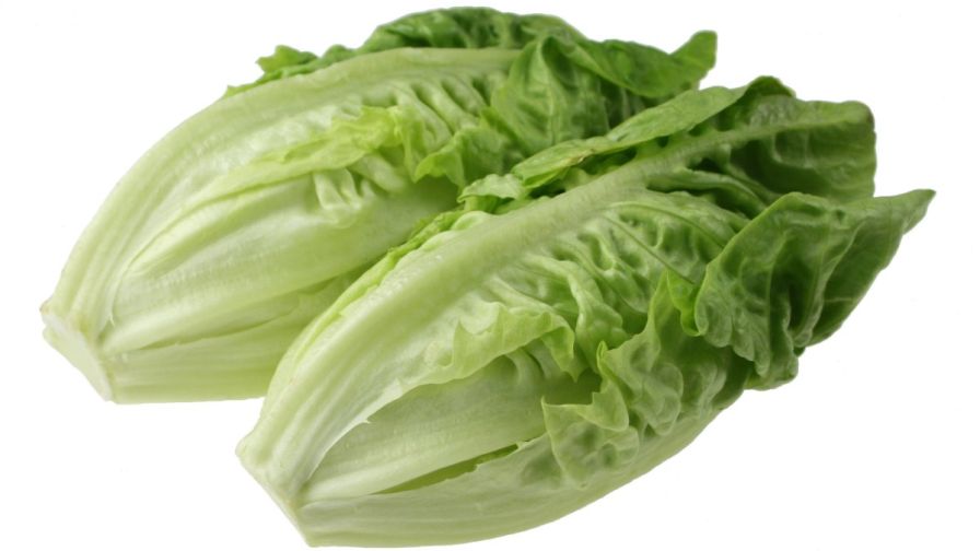 No Need for Hysteria Over Reports of Listeria in Romaine Lettuce
