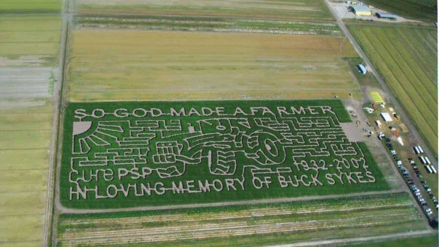 Sykes and Cooper Farms 2016 Corn Maze in Elkton, FL