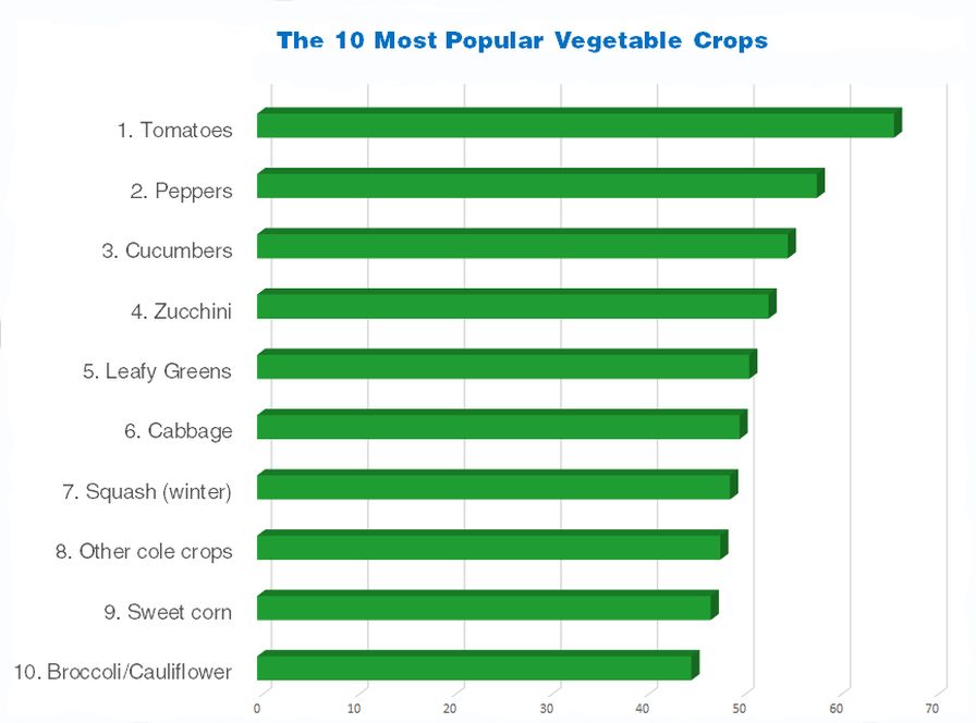 Which Vegetable Crops Are the Most Popular?