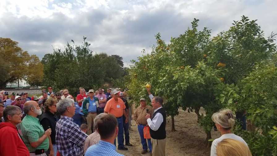 Georgia Citrus Association grove tour meeting