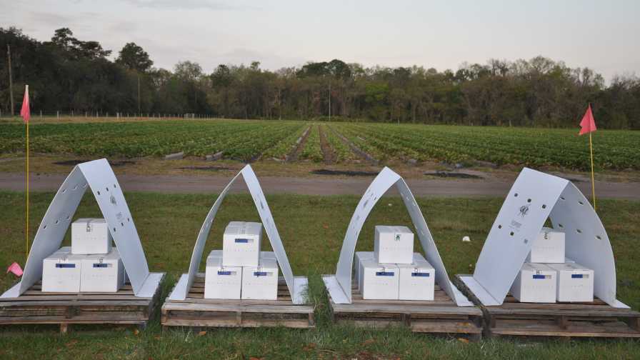 Bee Vectoring Technologies experimental hives