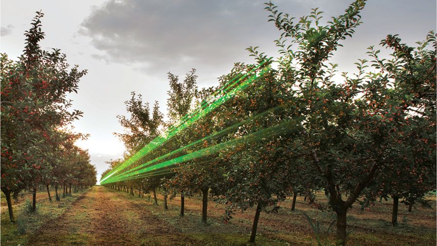 High-Tech Solution for Bird Control in Your Orchard