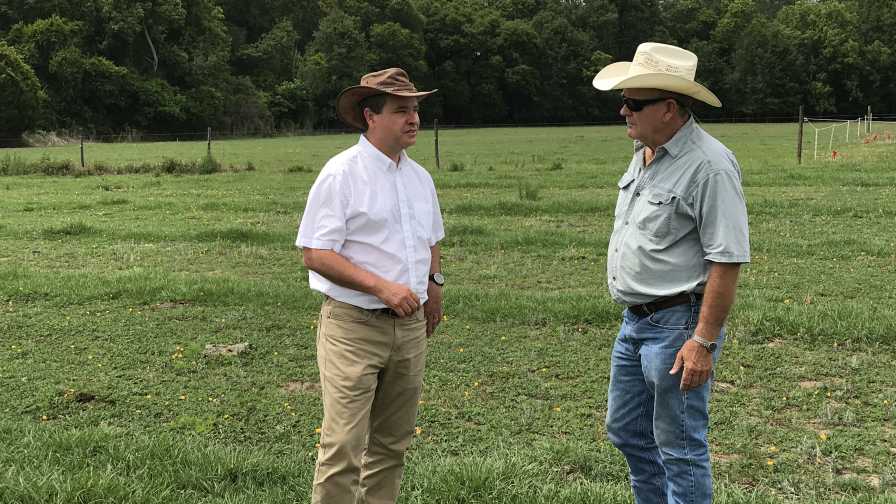 Jose Dubeux and Mack Glass talk farming in a Florida forage field