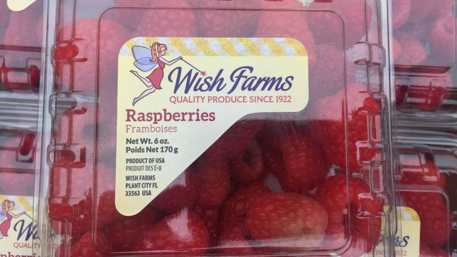 clamshell of Wish Farms raspberries