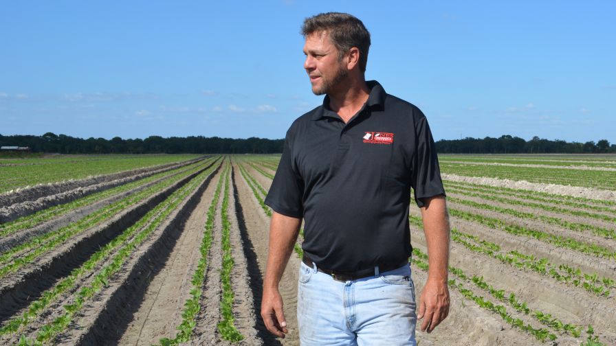 Saving 1 Million Gallons of Water a Day: Sustainable Lessons From Jones Potato Farm