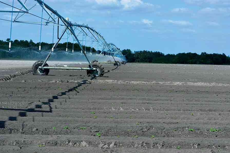 pivot irrigation at Jones Potato Farm in Florida