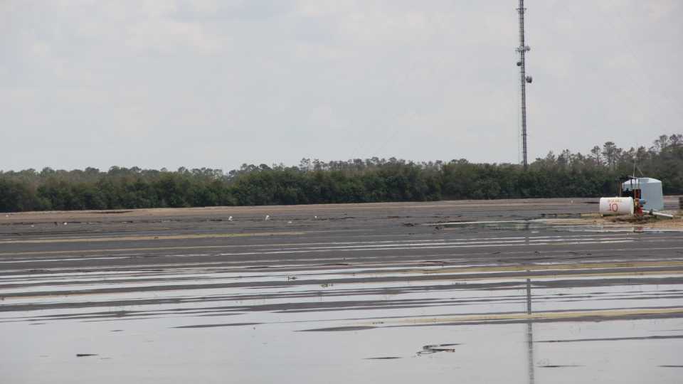 Flooded veggie field in SW Florida following Irma