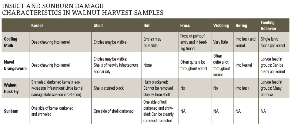 Best Practices for Almond and Walnut Harvest Sample Evaluations