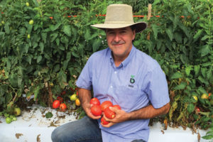 Bejo Seeds' Senior Tomato Breeder Doug Heath