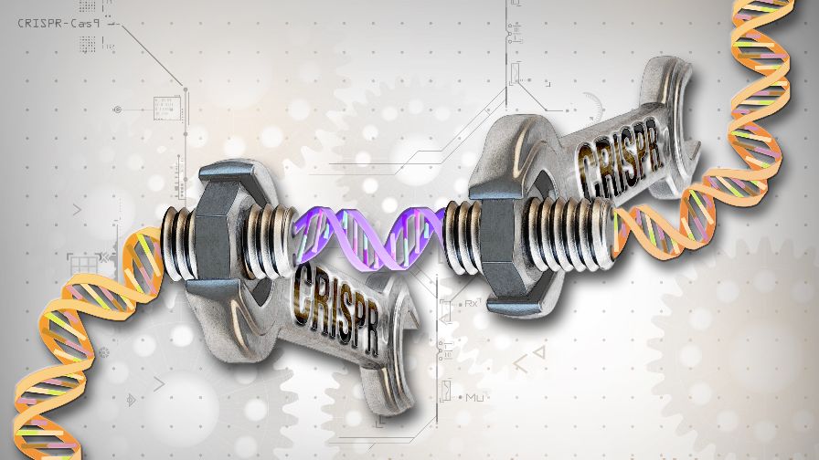 CRISPR-Cas-9-illustration-by-Ernesto-del-Aguila-III-NHGRI