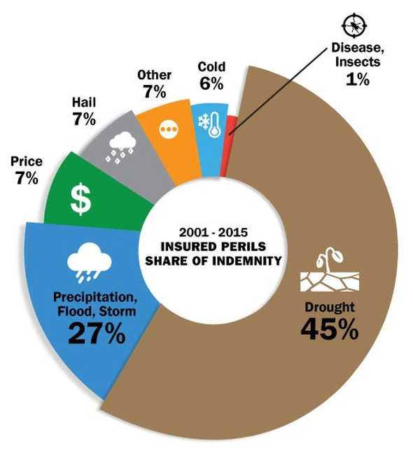 farm insurance california