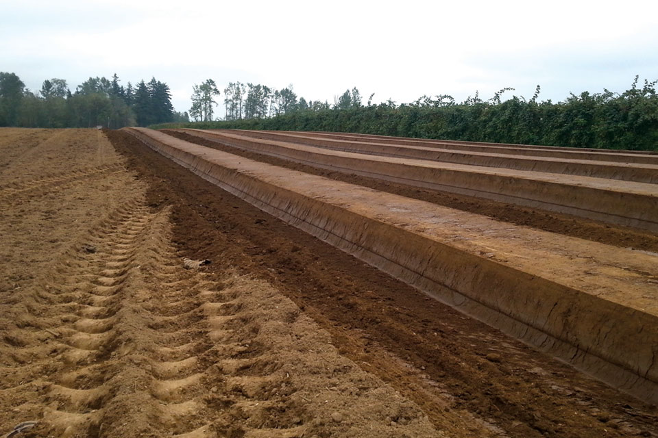 New Pest Control Tool for Raspberry Growers Growing Produce