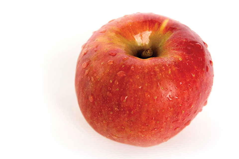 Midwest Apple Improvement Association Breeds Fruit for the Modern Consumer