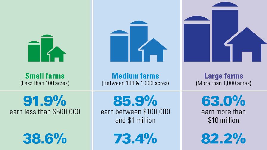 How a Farm's Size Impacts Its Stats Growing Produce