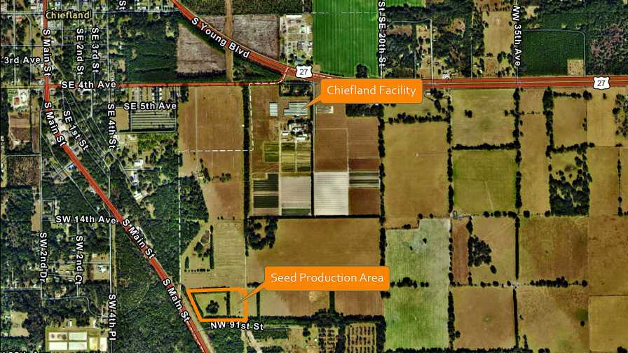 Florida Division of Plant Industry Chiefland Facility Seed Production Area