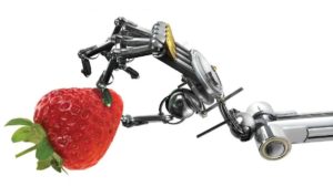 Robot-holding-a-strawberry-FEATURE