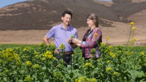 Steven-Koike-discusses-broccoli-with-a-USDA-plant-pathologist.-Photo-by-USDA
